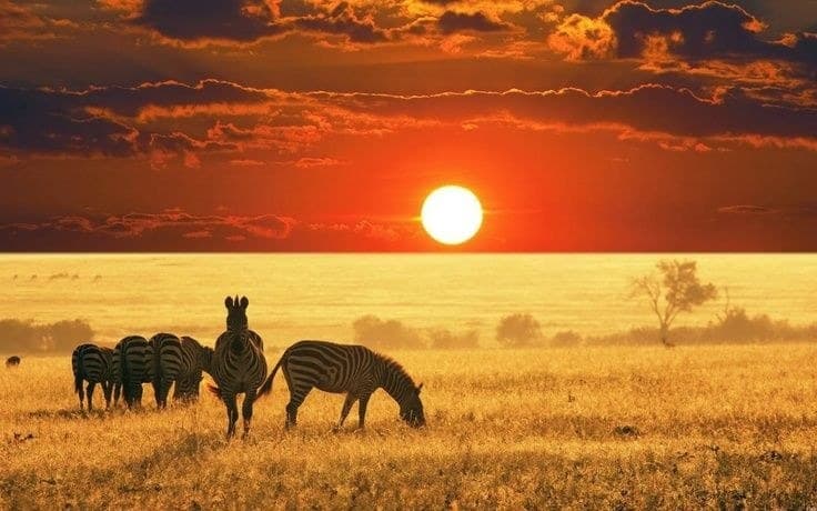 Paysage de République centrafricaine