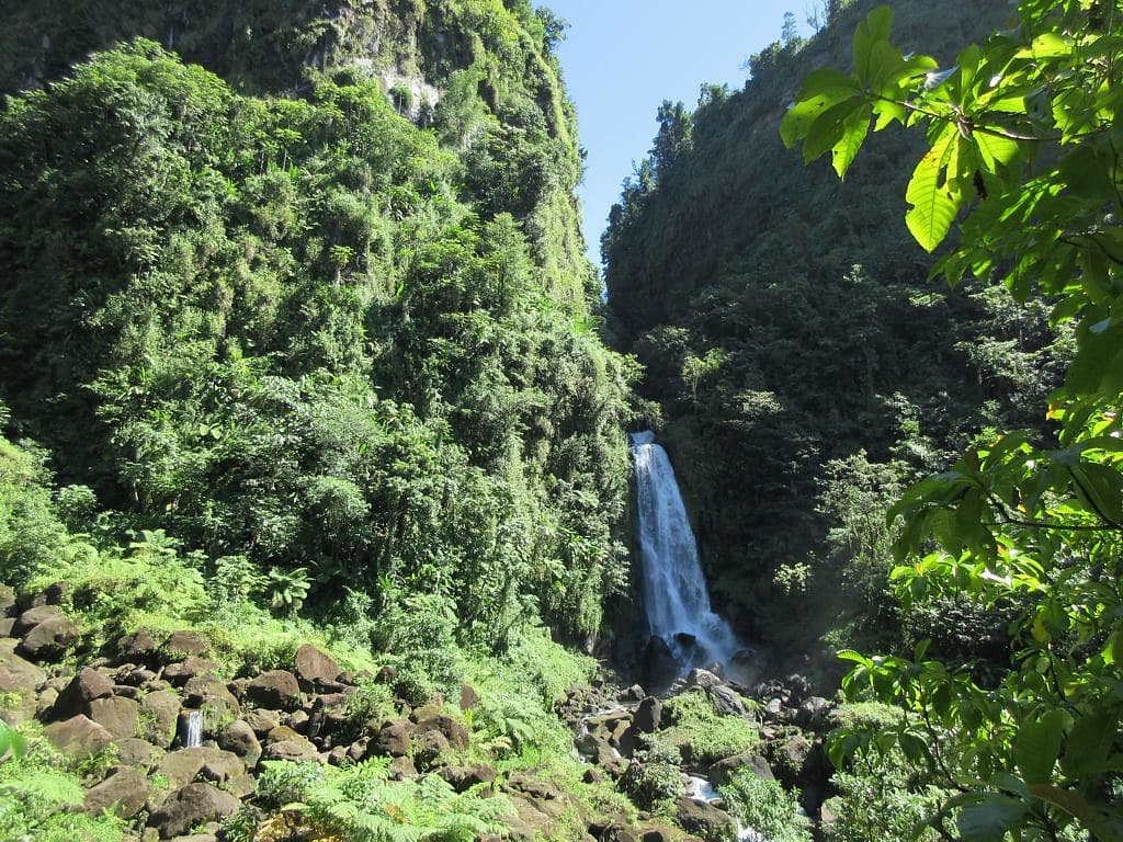 Paysage de Dominique