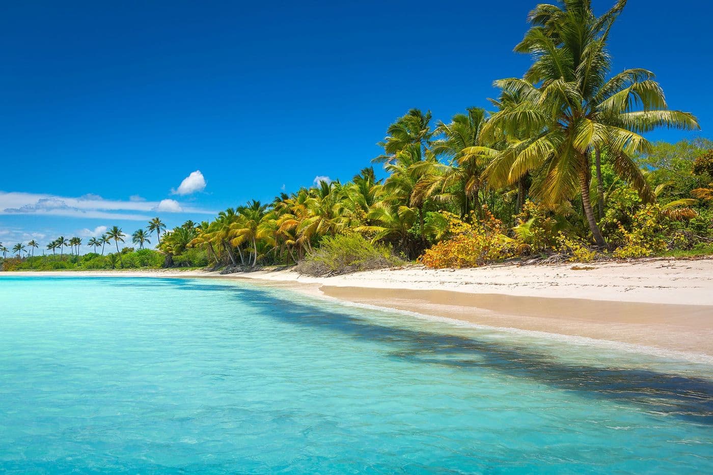 Paysage de République dominicaine