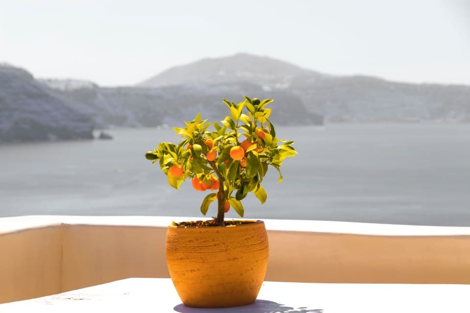 Paysage de Grèce