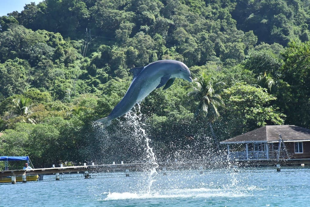 Paysage de Honduras