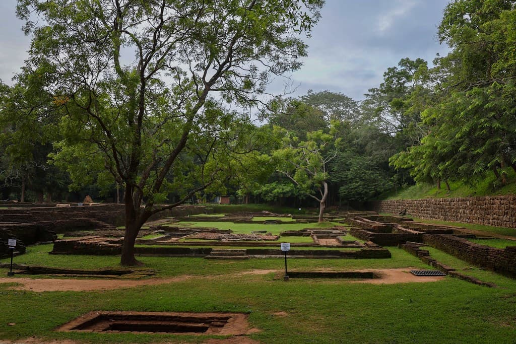 Paysage de Sri Lanka