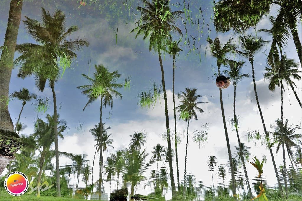 Paysage de Martinique