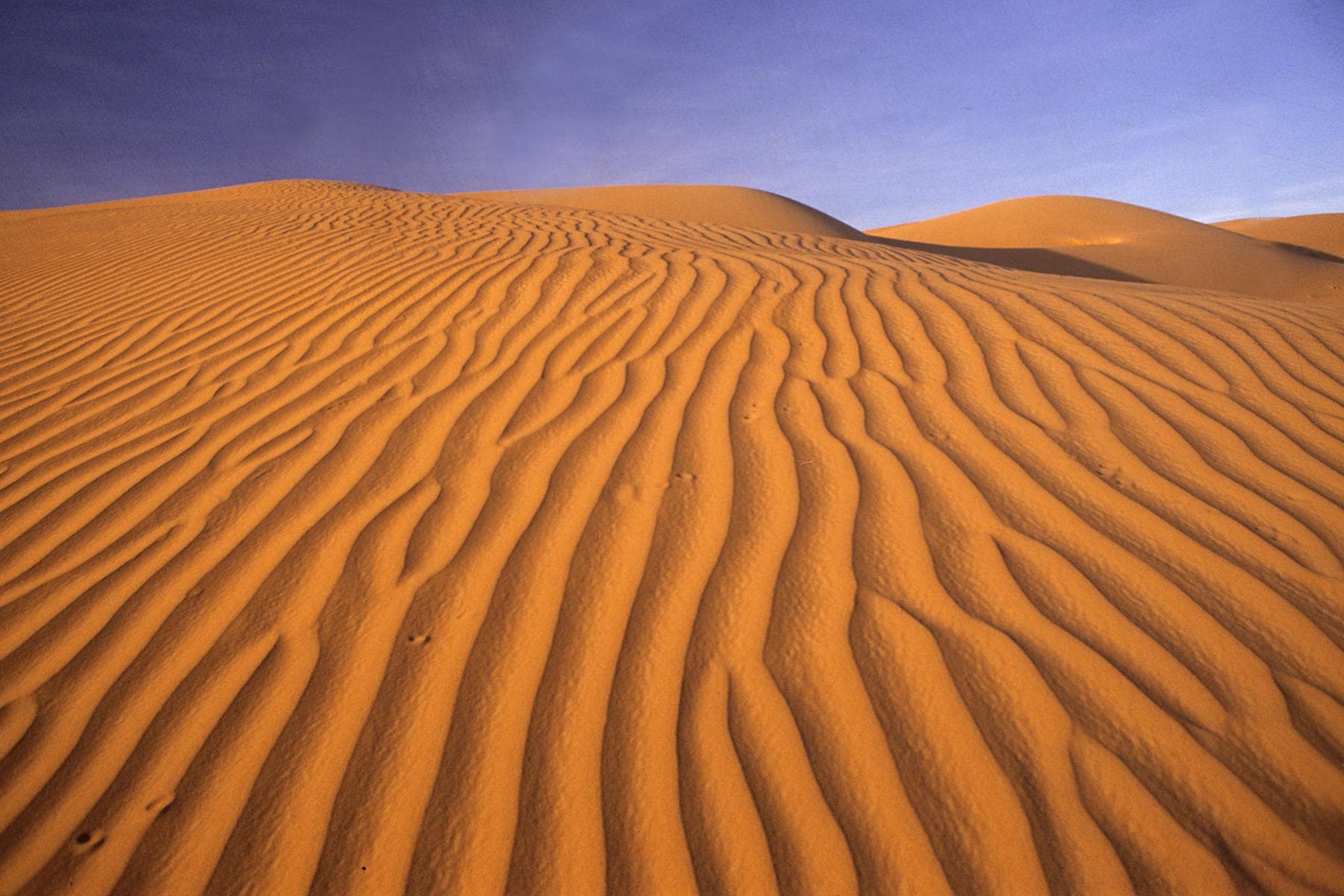 Paysage de Mauritanie