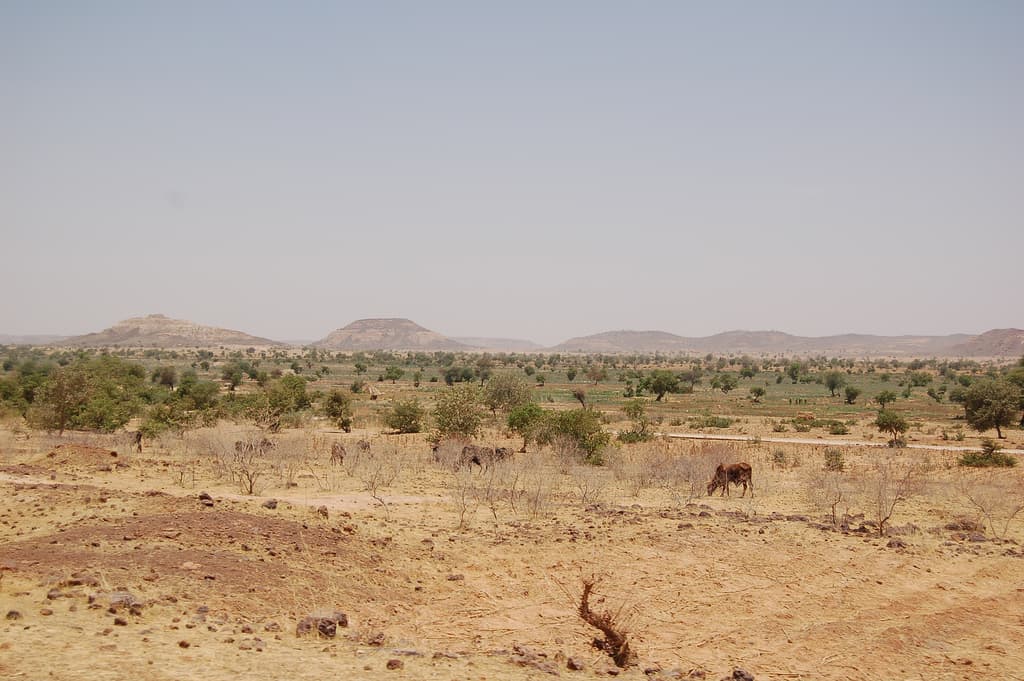 Voyage au Niger