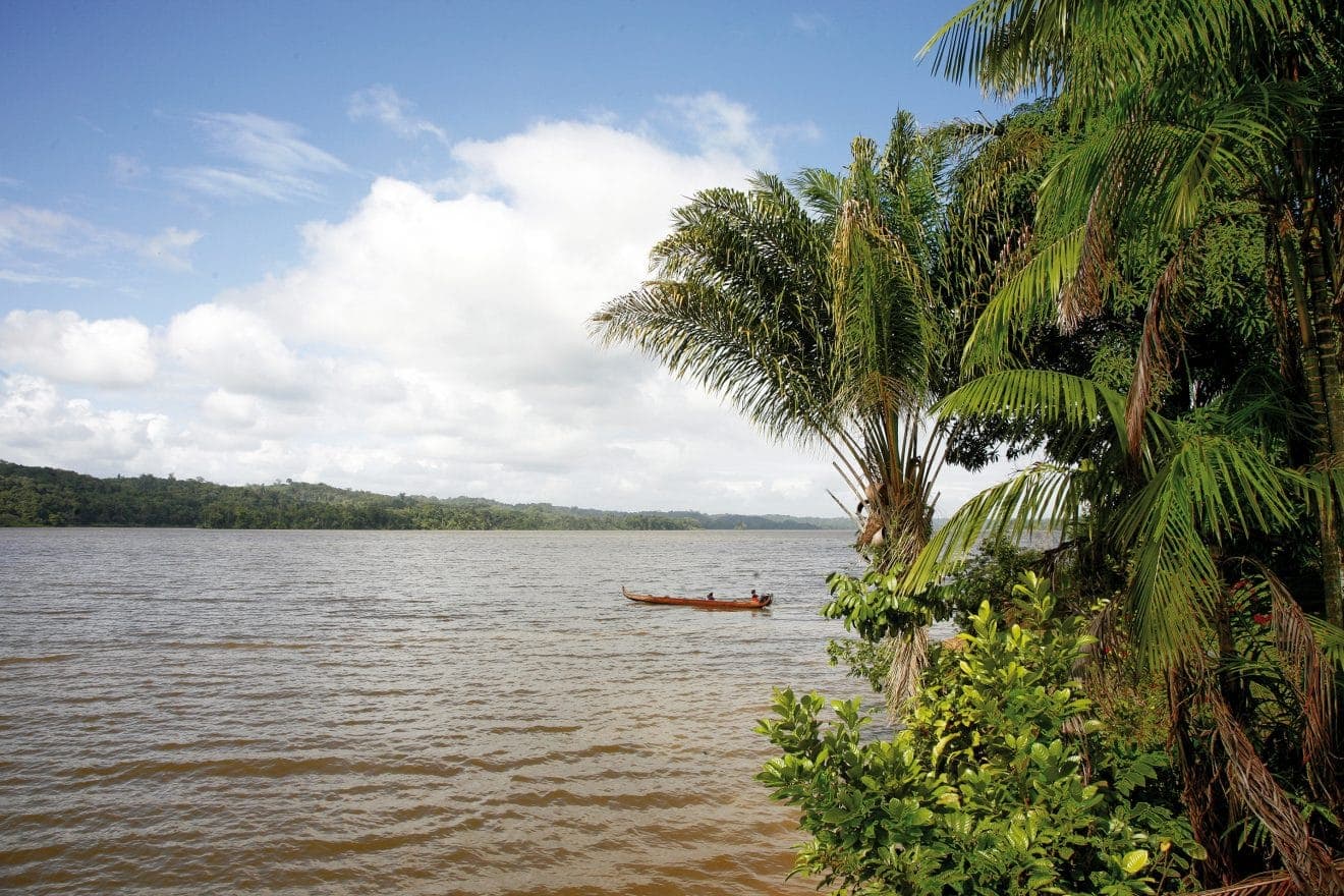 Paysage de Surinam