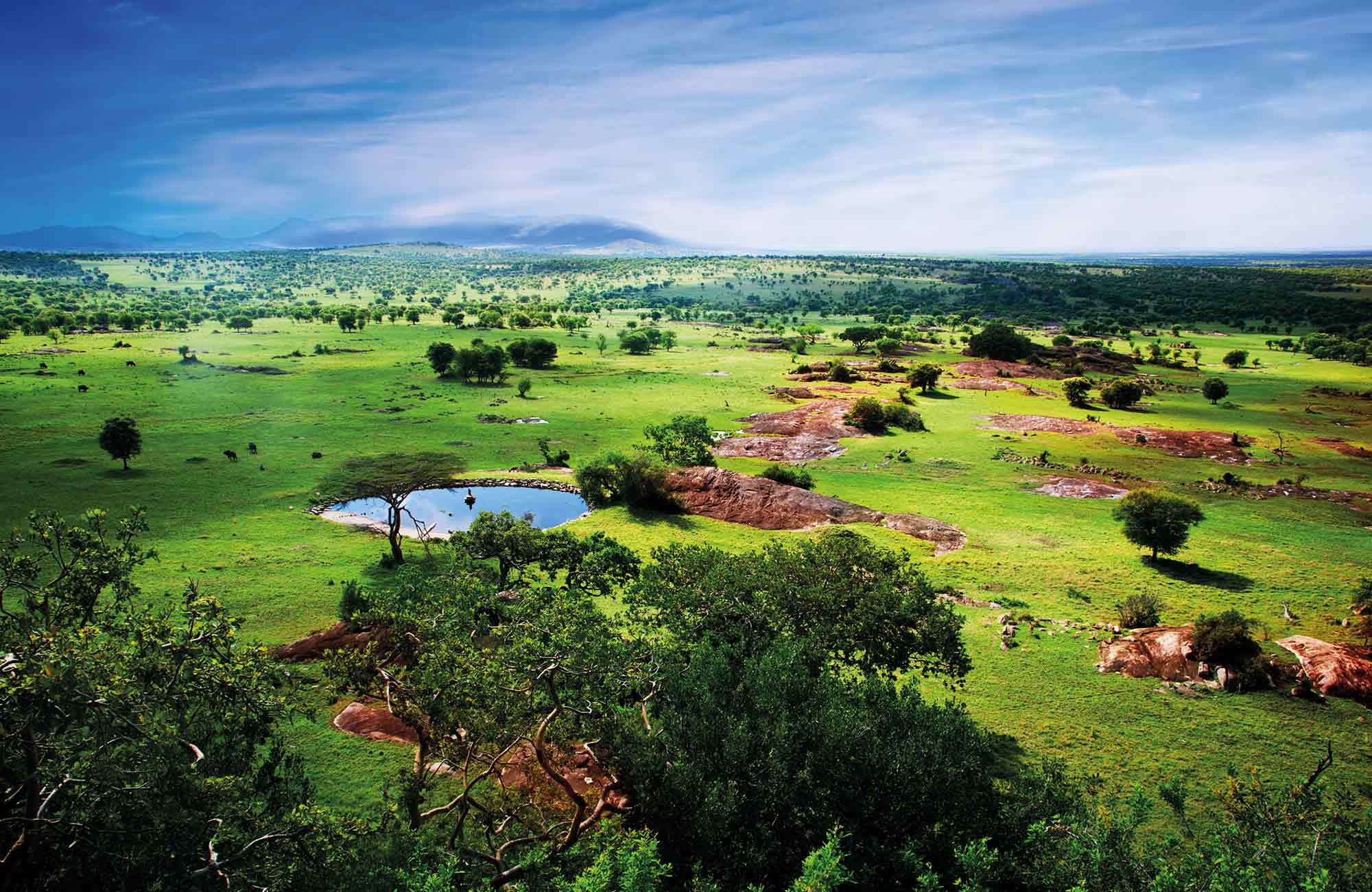 Voyage en Tanzanie