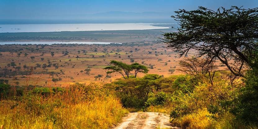 Paysage de Ouganda